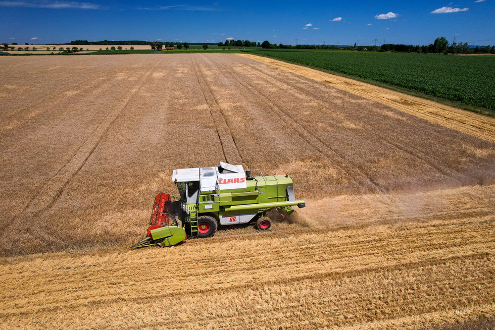 Lausterers Claas Dominator 98